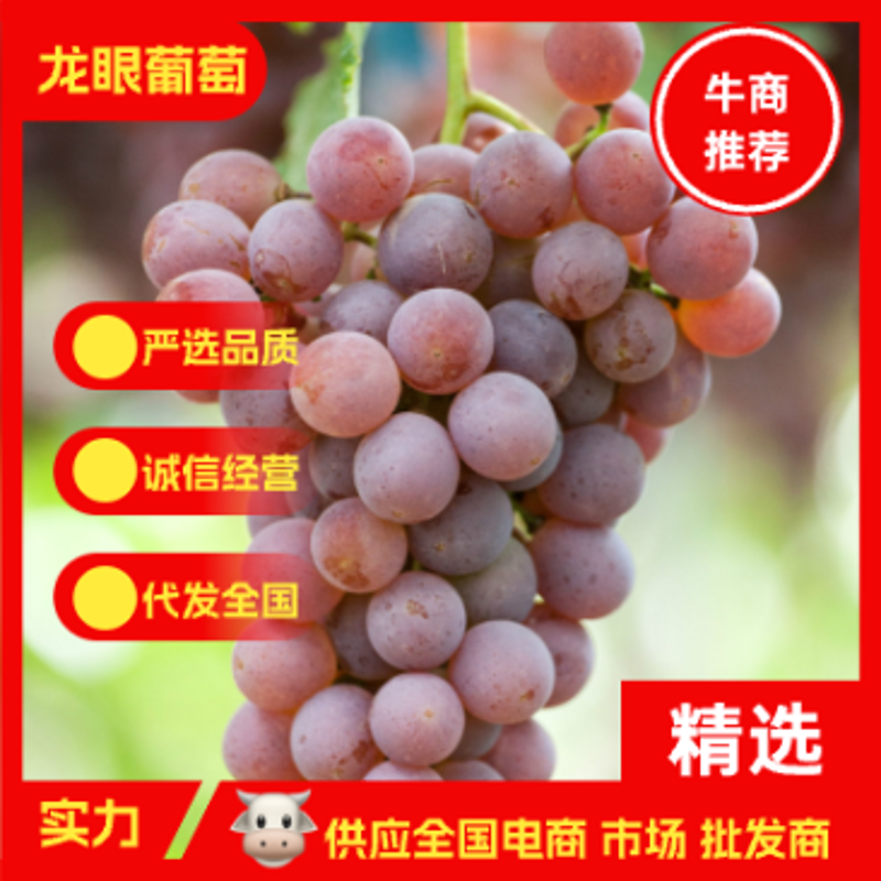 水果批发行业的竞争越来越激烈，如何在众多商家中脱颖而出？今天就来分享几个成功的关键点。